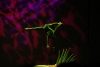 cervantino-23
