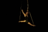 cervantino-24