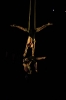 cervantino-27