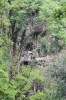 huasteca-28