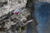 huasteca-29