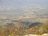 talpa-02