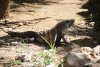 tulum-15