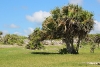 tulum-22