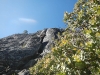 yosemite-30-von-36